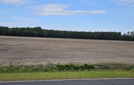 Farmland cleared 