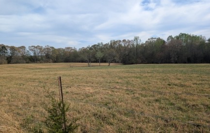 Multi-Generation Pasture Land For Sale Polk County NC