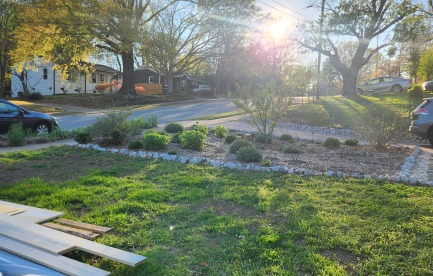 Front yard - pollinator garden 1