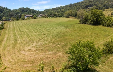 Lower hayfield