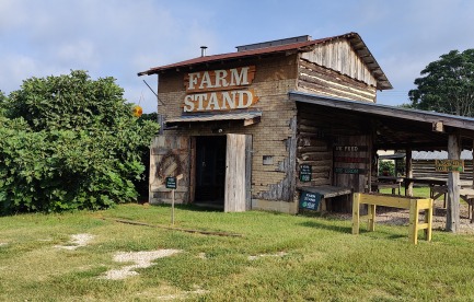 Seasonal Donation-only Farm Stand