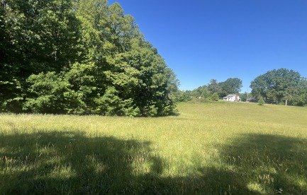 Side field with house