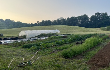 farm in production