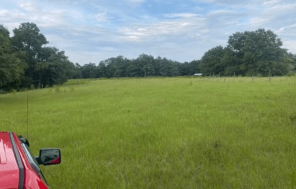 Open grassland originally used for cows to graze. Currently not being used.