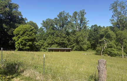 fenced pasture with shelter tall enough for a horse