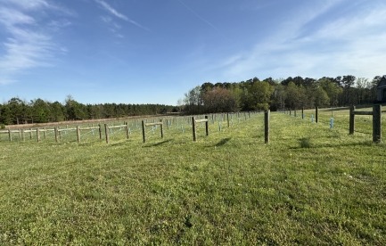 Ubuntu Farm