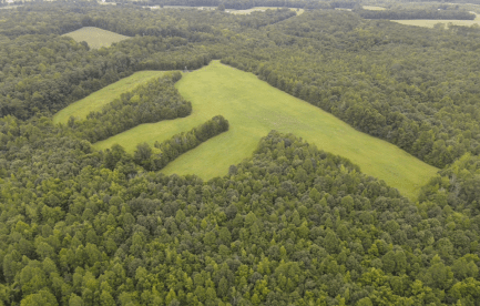 Open land 