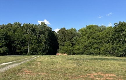 Open Field