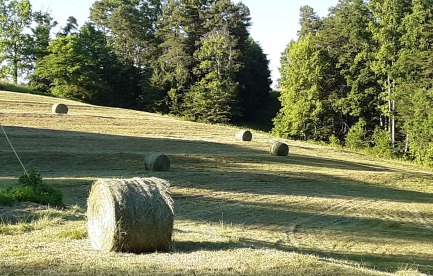 South facing pasture with round bales