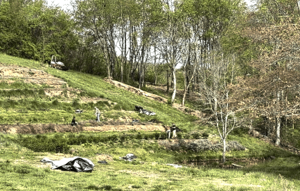 terraced herb production