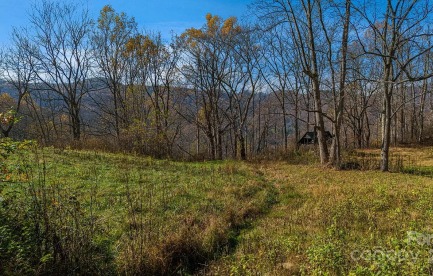 Middle Meadow