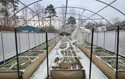 West Greenhouse
