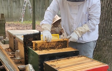 Our first honey harvest 