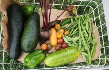 Community gardening