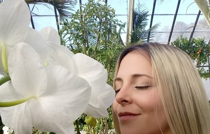 Orchids