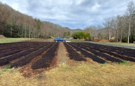 Raised beds