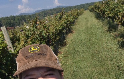 Me posing for a selfie at my current job at the grape orchard at the Biltmore 