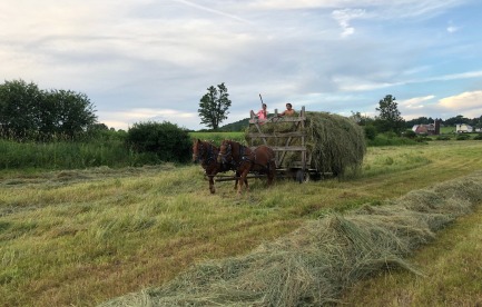 Taking a load of loose hay to the barn 