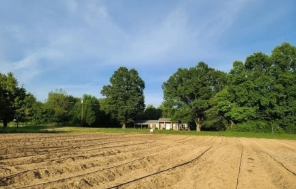 Newly plowed feild