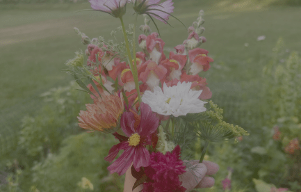 Assorted flowers and herbs being held 