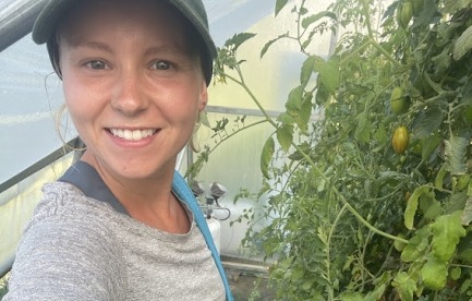 Picking tomatoes on a ladder