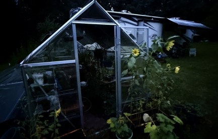 My beautiful garden 