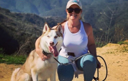 Dogs and mountains