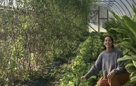 Antonia in high tunnel with turmeric, greens and tomatoes