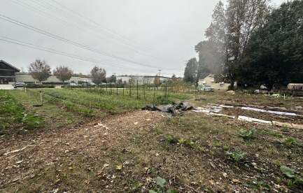 A portion of the land I manage right now, half an acre and has chickens 