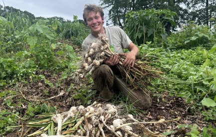 Aaron harvesting garlic