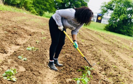 I’m an urban farmer and Agricultural Science graduate seeking land in Fayetteville, NC to grow fresh produce for my mobile market and provide food access, education, and community engagement.