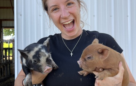 A colorful image of a woman holding two piglets