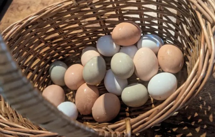 We've been blessed to have our girls give us eggs all year round.