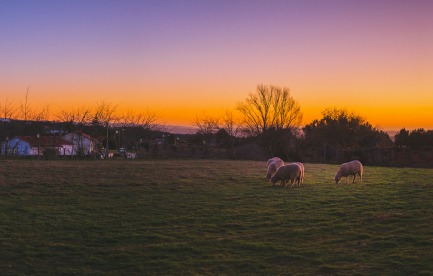 Example that depicts my future farm endeavors.