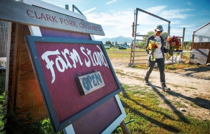 image of the Clark Fork Organics farmstand sign showing "open" while i am in the background carrying two bouquets of cut flowers