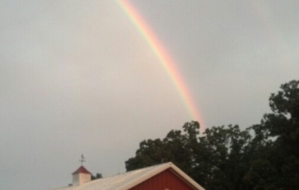 Morton barn/rainbow 