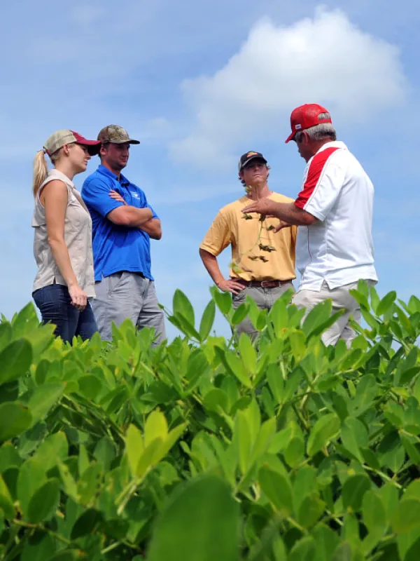 Four people talking to each other in an agricultural field, under blue sky.