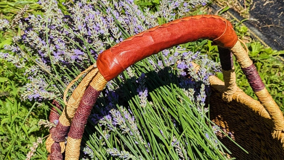 Lavender Haul