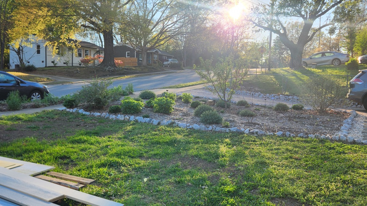 Front yard - pollinator garden 1