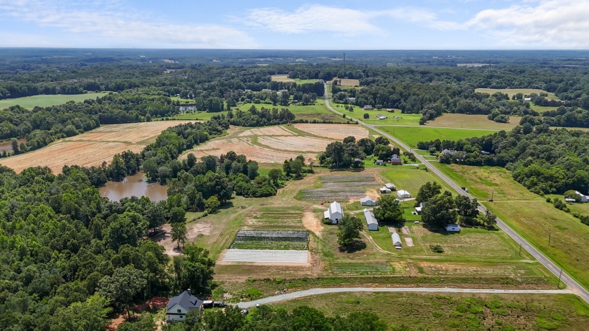Farm 