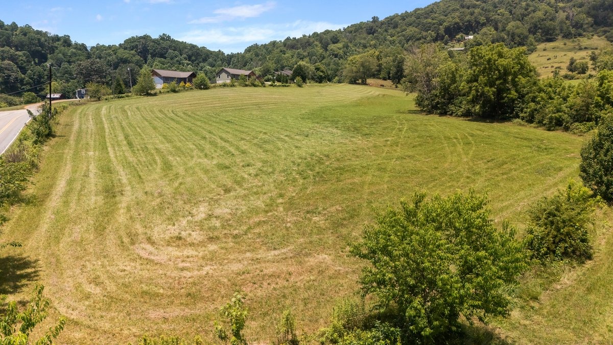 Lower hayfield