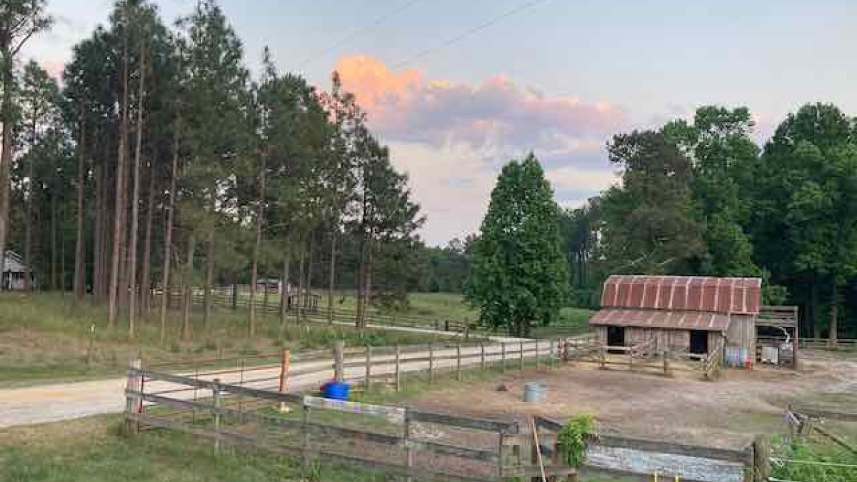 view of the barn