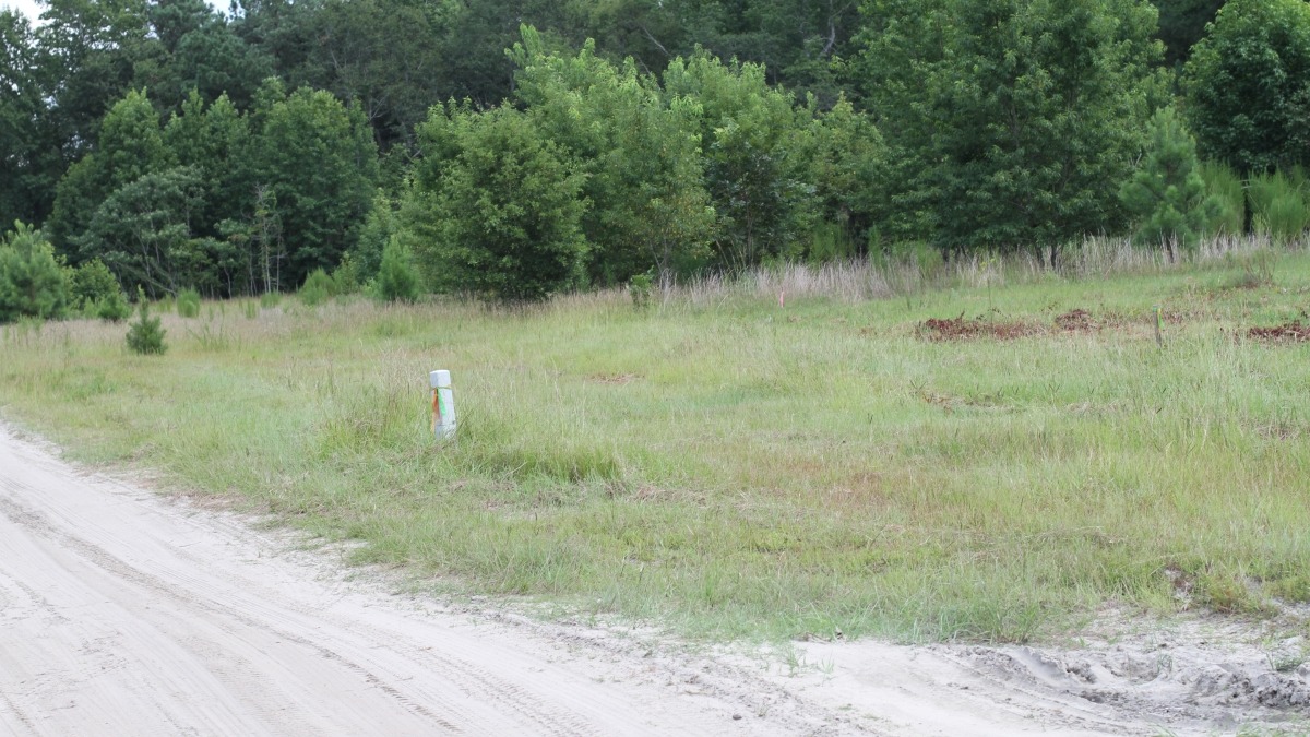 Lot 4, New Ground Trail NE, Leland, NC