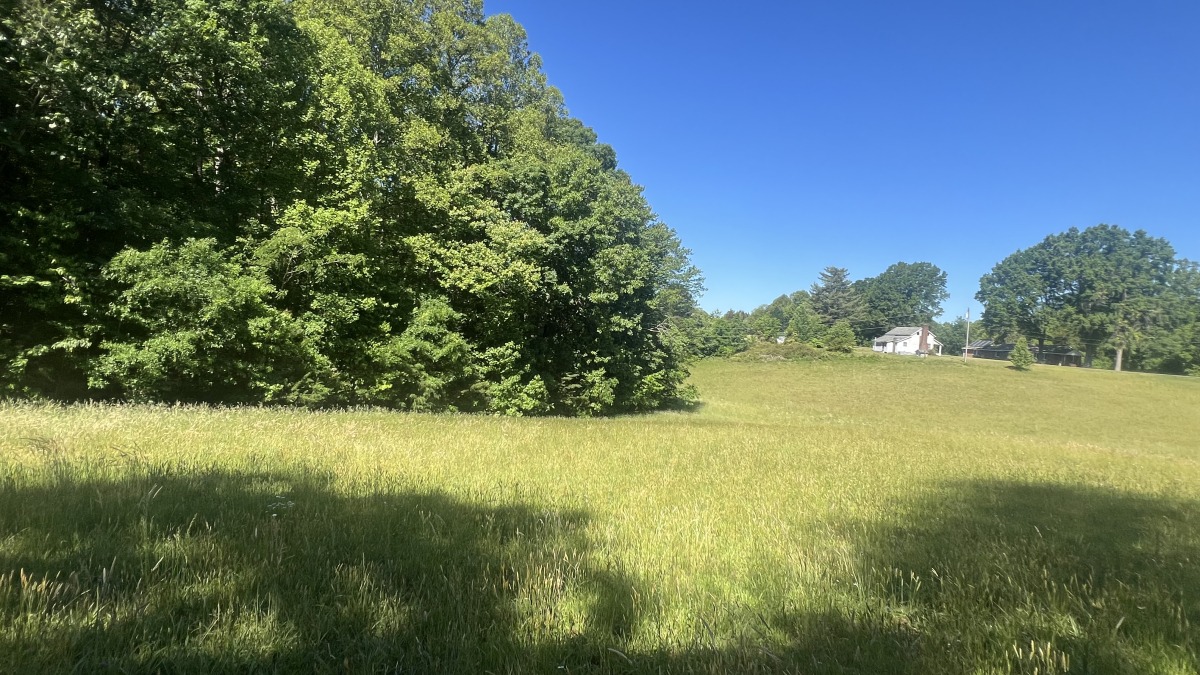 Side field with house
