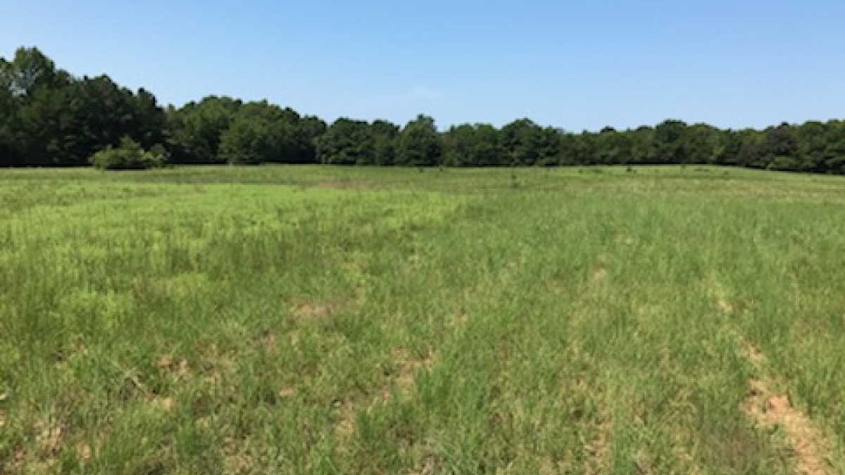 Tillable Acres