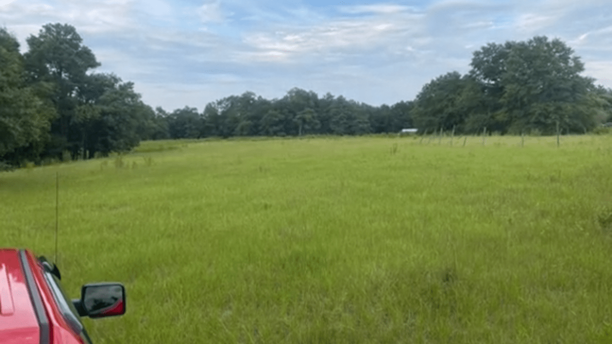 Open grassland originally used for cows to graze. Currently not being used.