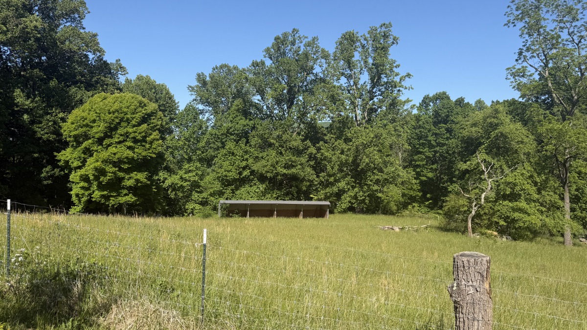 fenced pasture with shelter tall enough for a horse
