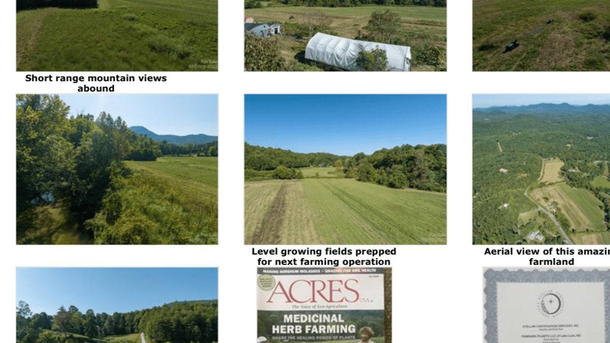 Previous farmer pics 