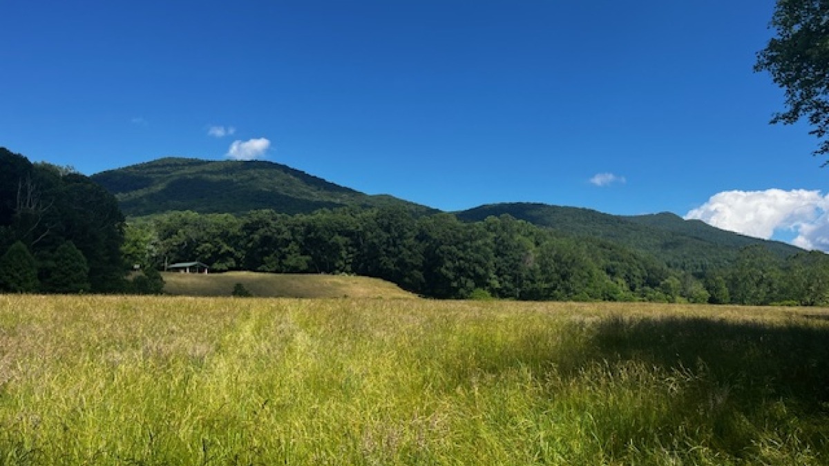 9 flat acres of rich bottomland soil