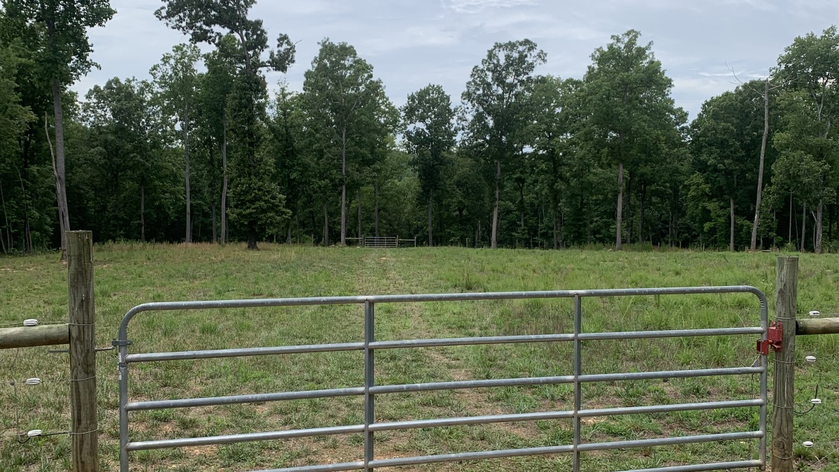 pasture gat